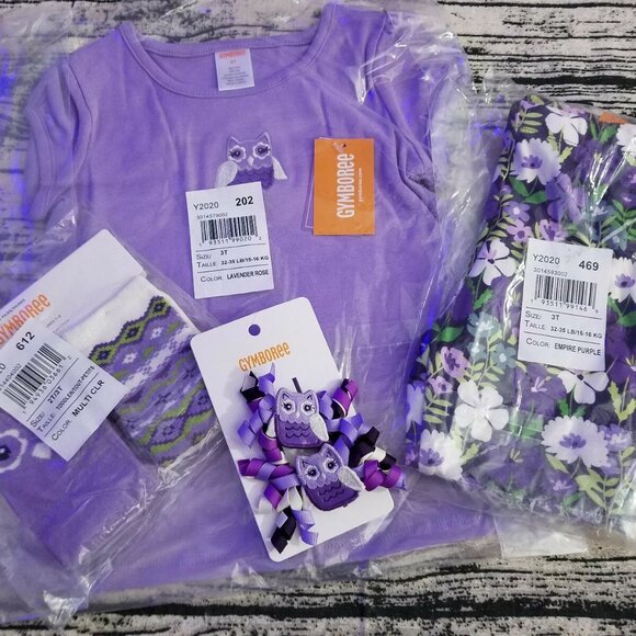 Gymboree Whooo's Cute 3T Leggings Owl Shirt Hair Curly Clips Outfit NWT - Picture 3 of 4